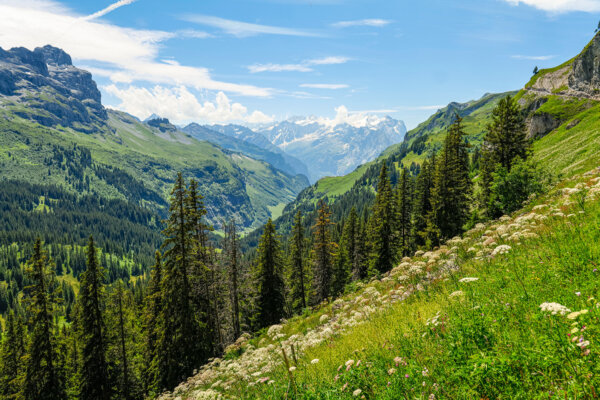 Jochpass Sommer Region Via Alpina 01