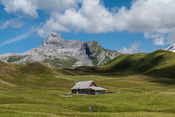 Jochpass Sommer Region Via Sbrinz 01